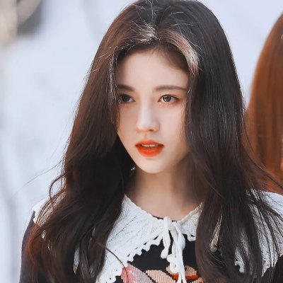 异常生物见闻录 特别篇